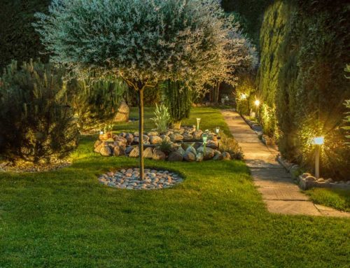 Der Abendgarten – Stimmungsvoll in Szene gesetzt