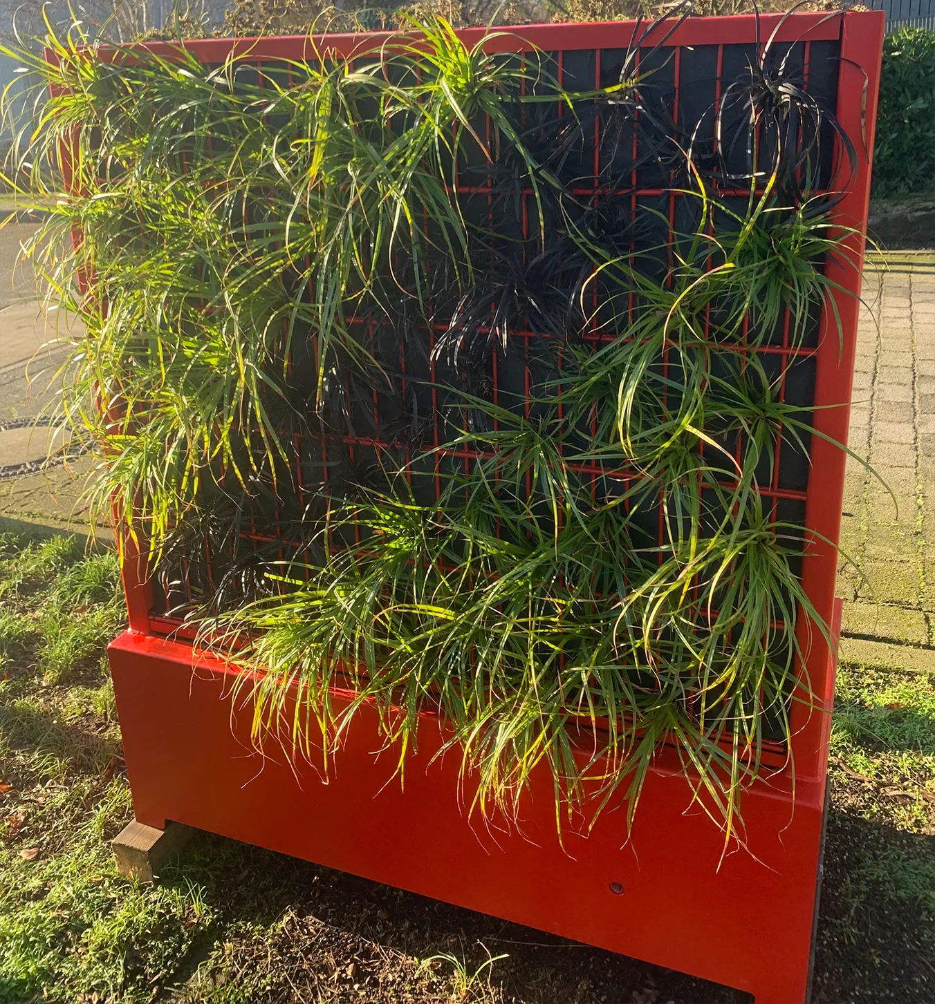 pflanzen-fabione-kuebel