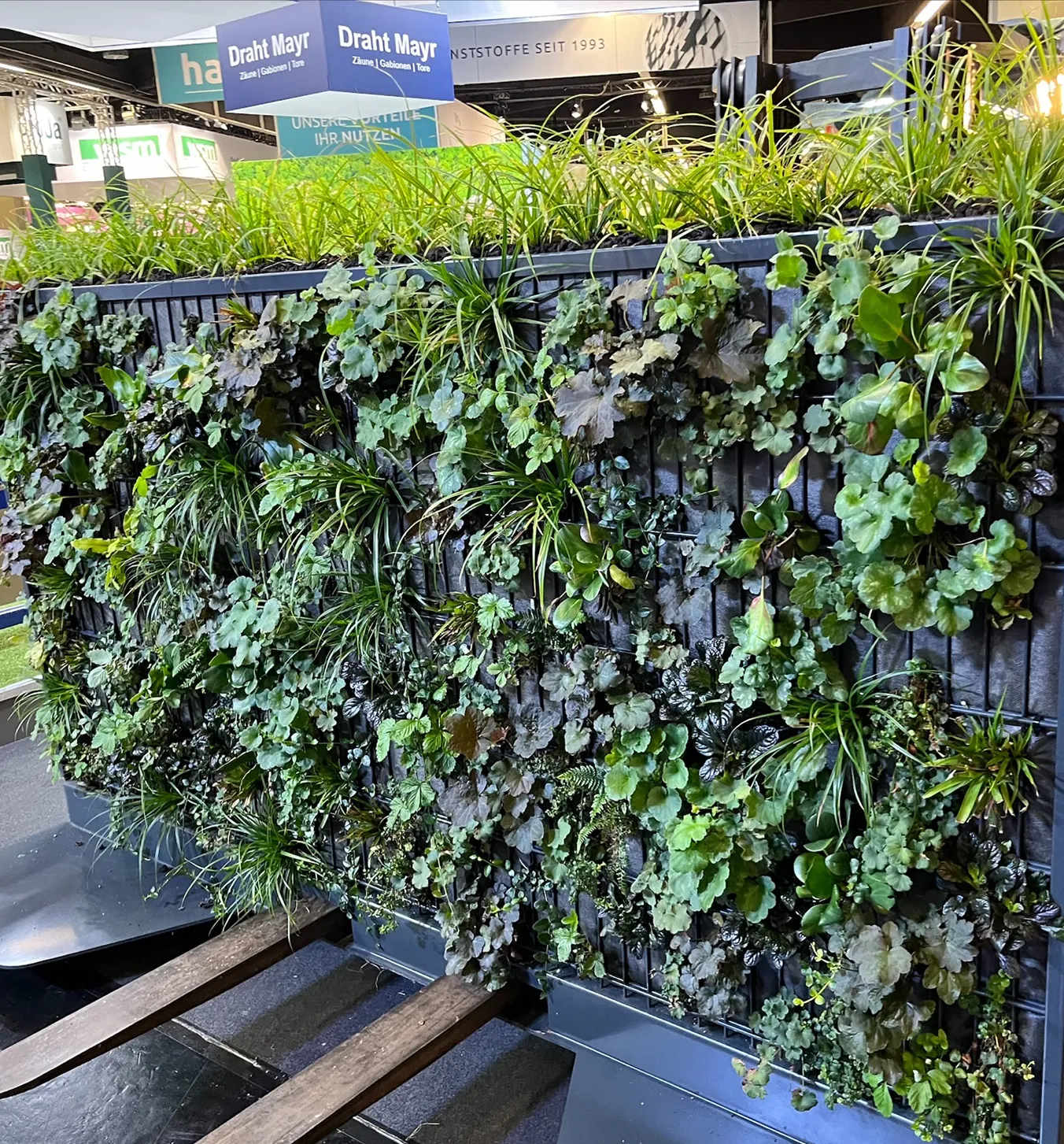 pflanzen-fabione-mobil