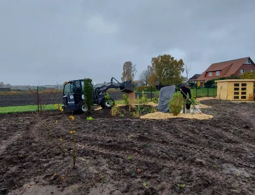 Gänseblumes Gartenchroniken: Auf der Spur der geheimen Zahl